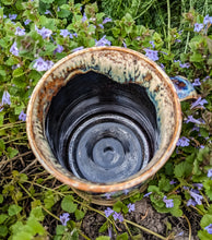 Load image into Gallery viewer, #1 - Luna Moth Mug