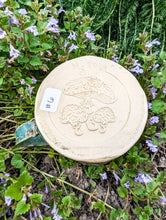 Load image into Gallery viewer, #6 - Mushroom Mug